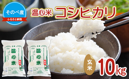 コシヒカリ10kg 玄米 10kg袋 令和7年度産 そのべ産 温心米 お米 10kg 単一原料米 こしひかり 丹波 精米 玄米 こめ コメ 京都