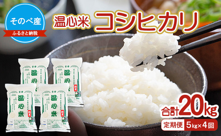 �y����ցz�R�V�q�J��5kg×4��@���v20kg�@�ߘa7�N�x�Y�@�̂׎Y ���S�� ���� 20kg �P�ꌴ���� �����Ђ��� �O�g ���� ���� ���� �R�� ���s