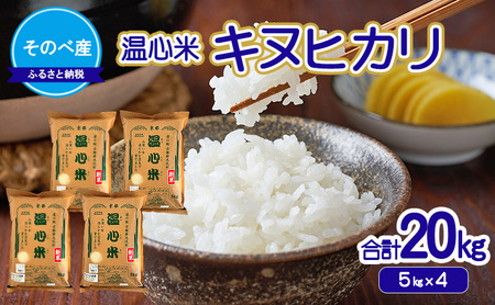 �L�k�q�J��20kg(5kg×4) �ߘa7�N�x�Y�@���̂׎Y ���S�ā@�� 20kg �P�ꌴ���� ���ʂЂ��� �O�g ���� ���� ���� �R�� ���s