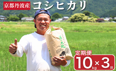 定期便 令和7年産 京都丹波産 コシヒカリ 10kg 3回