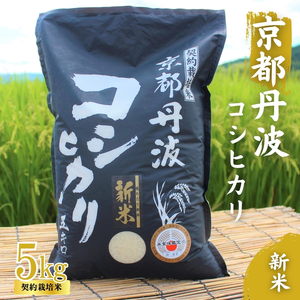 令和6年産 新米 京都丹波産 こしひかり 5kg 契約栽培米