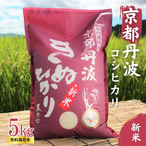 令和6年産 新米 京都丹波産 きぬひかり 5kg 契約栽培米