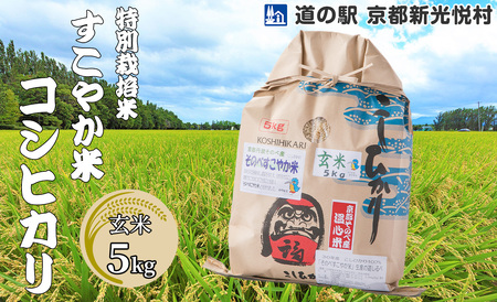 [道の駅 京都新光悦村] 特別栽培米すこやか米コシヒカリ「玄米」 5kg[高島屋選定品]016N54