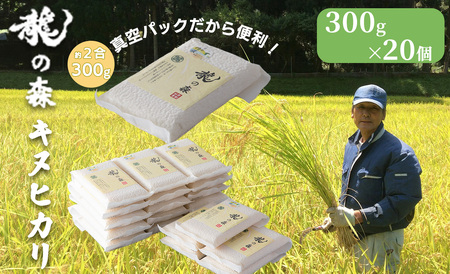 【新米】京都・日吉町 吉田農園　龍の森 真空パック キヌヒカリ 20個（300ｇ×20）[高島屋選定品］041N516