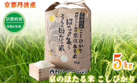 [新米][京都丹波 西村farm]京都丹波産こしひかり 西村ファームの京ほたる米 5kg[髙島屋選定品]016N520 [令和6年産新米予約]