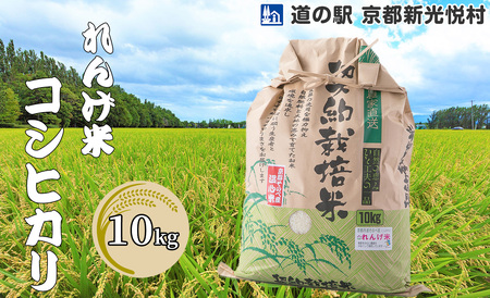 [新米][道の駅 京都新光悦村]れんげ米コシヒカリ「白米」10kg[高島屋選定品]023N529 [令和6年産新米予約]