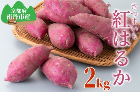 [期間限定販売]京都・南丹市産さつまいも 紅はるか2kg[髙島屋選定品