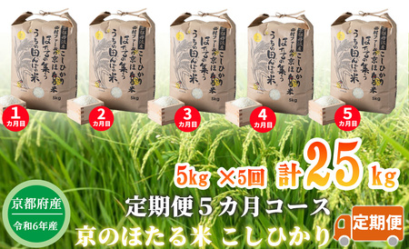 [新米][定期便5カ月コース]京都丹波産こしひかり 西村ファームの京ほたる米 5kg[高島屋選定品]076N634 [令和6年産新米予約]