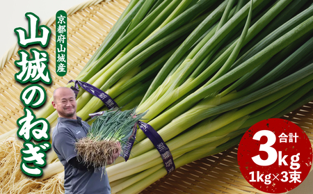 山城のねぎ 3kg 野菜ねぎ ネギ 長ネギ 京野菜 001-14