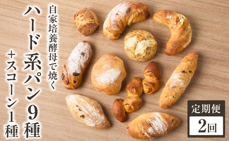 [全2回定期便]選べる回数!自家培養酵母で焼くハード系パン9種+スコーン1種セット! 065-04-T01