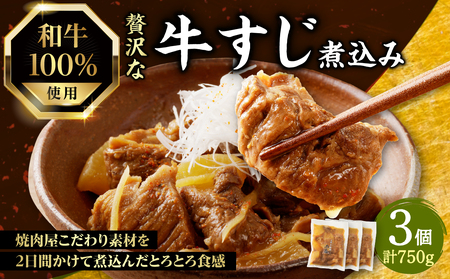 【父の日ギフト】 ≪6月21日お届け≫和牛100％の贅沢なすじ煮込み 250g×3個 750g 牛すじ 煮込み すじ煮込み 牛すじ煮込み  093-11-F