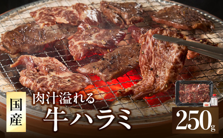 「京都人気焼肉店」貴重!肉汁溢れる 国産牛ハラミ 250g 093-42