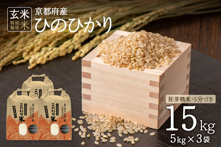 【玄米（特別栽培米）胚芽精米・五分つき】京都産　ヒノヒカリ13.5kg【令和3年産】