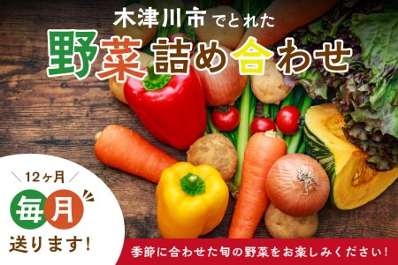 [京都産]木津川市でとれた野菜詰め合わせを12か月毎月送ります! 野菜 やさい 詰め合わせ 定期便 野菜詰め合わせ 野菜定期便 新鮮 旬の野菜 季節の野菜 京野菜 産地直送 農産物直売所 12か月 12回 038-01