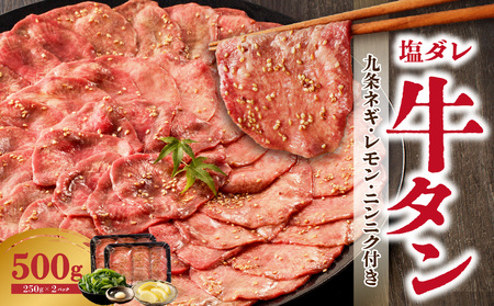 [大盛九条ネギ]塩ダレ牛タン500g 牛タン 薄切り タン 特製塩だれ 牛たん 丼 おすすめ 特製塩ダレ 薄切り牛タン 小分け牛タン 牛タンスライス 牛肉 九条ネギ 簡単調理 焼くだけ簡単 京都府 木津川市 093-02