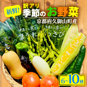 [訳アリ] 季節の野菜 詰め合わせ 6〜10種 京都_野菜 _