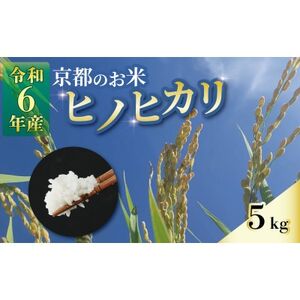 【数量限定】京都のお米 ヒノヒカリ 5kg【1576221】