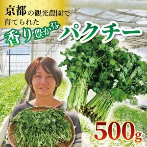 パクチー500g[配送不可地域:離島・北海道・沖縄県]