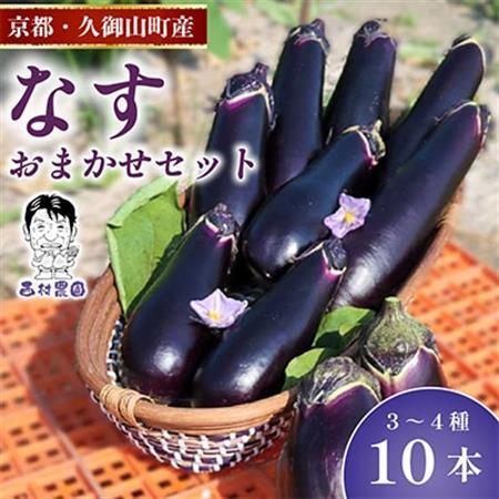 なす3~4種類おまかせ10本!(水なす・フルーツなす・千両なす・ふわとろ長なす)_野菜 茄子 なす ナス_