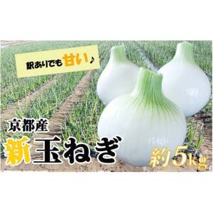 [訳アリ]たまねぎ 5kg 京都府久御山町産