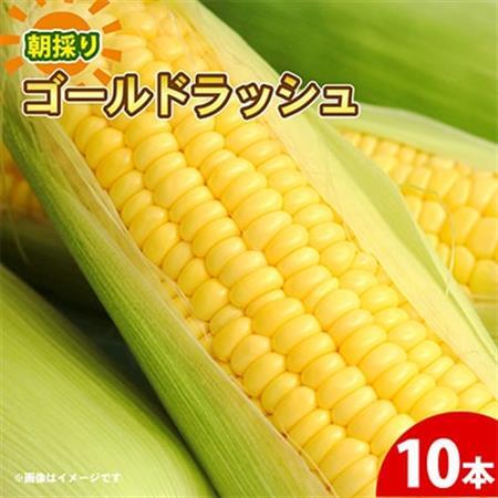 京都府久御山町 とうもろこし 10本【配送不可地域：離島・北海道・沖縄県・東北】【1666122】