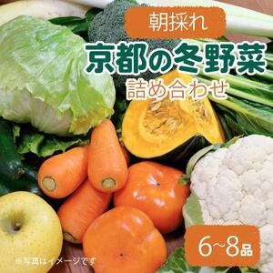 京都 朝採れ 冬野菜セット 6〜8種[配送不可地域:離島]