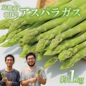 [先行受付]2026年産 数量限定 アスパラガス 1kg L〜2Lサイズ 京都府久御山町産 朝採り[配送不可地域:離島]