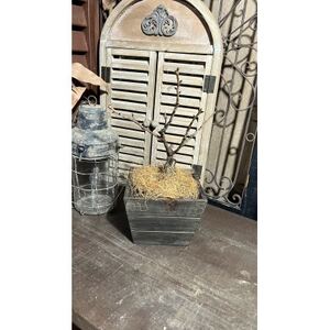 一才桜(一才桜4号鉢×1 バスケット×1 ココファイバー)[配送不可地域:離島・沖縄県]