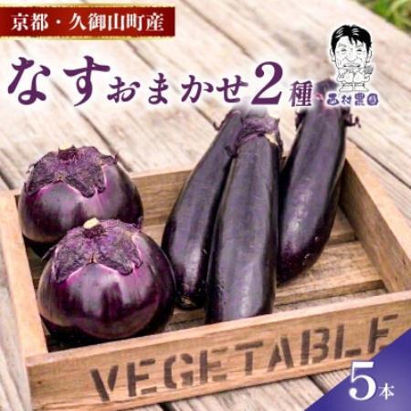 なす2種類おまかせ5本!(賀茂なす・水なす・フルーツなす・千両なす・ふわとろ長なす)