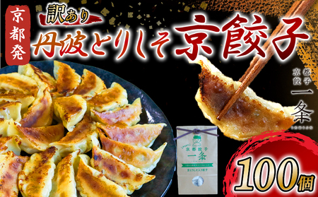 訳あり 丹波とりしそ京餃子 100個 冷凍 ぎょうざ ギョウザ ギョーザ しょうが 生姜 豚肉 便利 簡単調理 惣菜 絶品 おかず お子様 家族 こだわり餃子 人気 簡易包装 訳あり 訳アリ 冷凍餃子 冷凍生餃子 京都 井手町 京都一条[229]