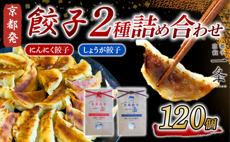 選べる 餃子 2種詰め合わせセット にんにく餃子 & しょうが 120個 冷凍 ぎょうざ ギョウザ ギョーザ しょうが 生姜 豚肉 便利 簡単調理 惣菜 絶品 おかず お子様 家族 こだわり 人気 簡易包装 訳あり 訳アリ 冷凍餃子 冷凍生餃子 京都 井手町 京都一条 [230]