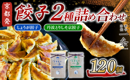 選べる 餃子2種詰め合わせセット しょうが餃子 & 丹波とりしそ京 120個 冷凍 ぎょうざ ギョウザ ギョーザ しょうが 生姜 豚肉 便利 簡単調理 惣菜 絶品 おかず お子様 家族 こだわり 人気 簡易包装 訳あり 訳アリ 冷凍餃子 冷凍生餃子 京都 井手町 京都一条 [232]