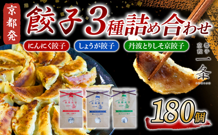 餃子 3種詰め合わせセット 180個 (にんにく餃子/しょうが/丹波とりしそ京) 冷凍 ぎょうざ ギョウザ ギョーザ しょうが 生姜 豚肉 便利 簡単調理 惣菜 絶品 おかず お子様 家族 こだわり 人気 簡易包装 訳あり 訳アリ 冷凍餃子 冷凍生餃子 京都 井手町 京都一条 [236]