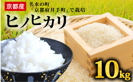 [先行受付]ヒノヒカリ 10kg 令和7年産 京都府産米 米米米米