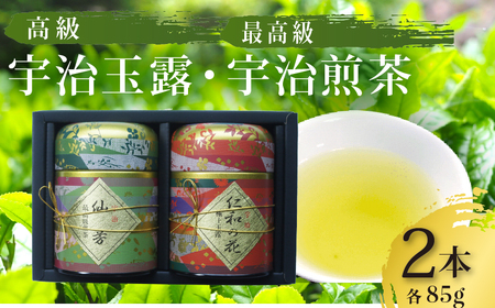 高級 宇治玉露 最高級 宇治煎茶 各85g缶入り 宇治茶宇治茶宇治茶宇治茶お茶[014]