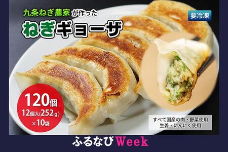 [ふるなびWEEK対象]九条ねぎ農家が作ったねぎギョーザ(12個入×10P)FN-Limited[ぎょうざ 餃子 ギョーザ 九条ねぎ 京野菜