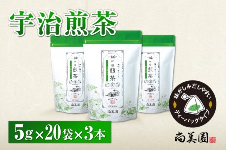 宇治・煎茶ティーバッグ 5g×20個×3袋 [お茶 茶 煎茶 緑茶 かぶせ茶 飲料 ティーバッグ 煎茶ティーバッグ ティーパック 宇治茶 日本茶 加工食品]