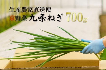 生産農家直送 京野菜・九条ねぎ 700g