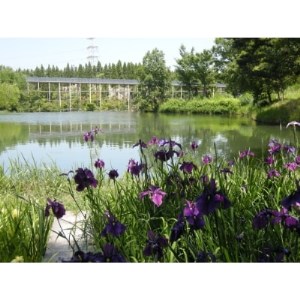 [1組限定]けいはんな記念公園ガイド -日本庭園・里山の楽しみ方-