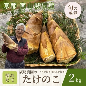 [先行予約 京都 旬の味覚]廣尾農家の朝堀りたけのこ 2kg 京都南山城村産 筍 野菜 タケノコ 京野菜 新鮮 旬 季節限定