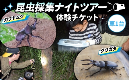 [優先貸切]NHKテレビで取り上げられました![先行予約][体験期間 2026年6月〜8月中旬]虫捕り名人と行く「昆虫採集ツアー」ご利用券(グループ貸切用・車1台) 昆虫 カブトムシ クワガタ アウトドア 京都 南山城村