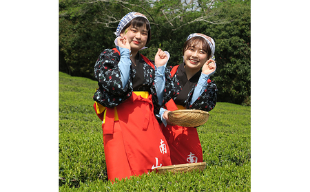 [体験期間:6月末まで]村内の茶畑で茶摘み&手もみ製茶体験!茶娘衣装貸出付き(大人ペアチケット)