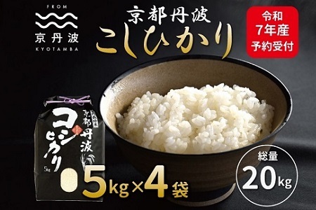 yOg̕āzss\t OgЂ 20kg ߘa7NY   [033MB001]