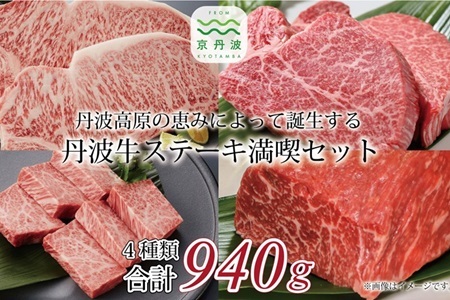 丹波牛ステーキ満喫セット ( 和牛 黒毛和牛 京都 丹波 丹波牛 牛肉 ステーキ サーロイン A5 フィレ ランプ 霜ふり 赤身 赤身肉 ) [069IZ001]