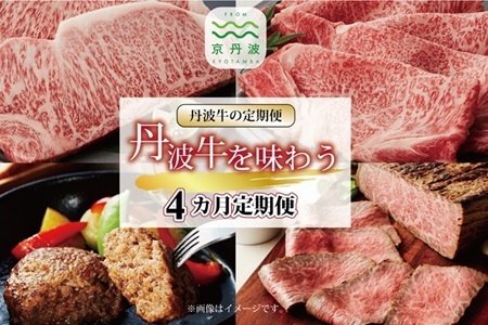 [4回定期便]丹波牛を味わう定期便 [ 京丹波 肉 牛肉 定期便 丹波牛 黒毛和牛 和牛 牛肉セット ハンバーグ ローストビーフ すき焼き 焼肉 ステーキ 京都 ][099IZ001R]