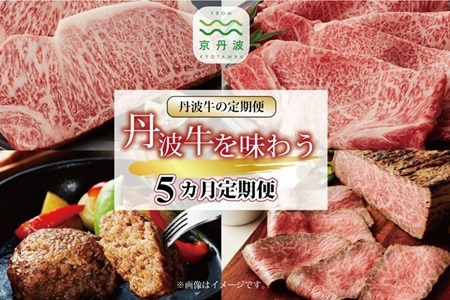 [5回定期便]丹波牛を味わう定期便[ 京丹波 肉 牛肉 定期便 丹波牛 黒毛和牛 和牛 牛肉セット ハンバーグ ローストビーフ すき焼き しゃぶしゃぶ 焼肉 ステーキ 京都 ] [123IZ001R]