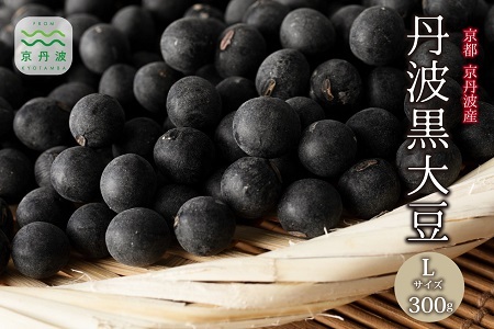 [ 年内発送 ] 丹波黒大豆 Lサイズ 300g お正月 おせち用 京都 京丹波町産 丹波黒豆 新豆 国産 お取り寄せ ご当地グルメ 生産者限定 令和7年産 L 生豆 大粒 ※北海道・沖縄・その他離島への配送不可 [007KK001L]