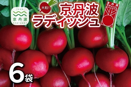 OgfBbV 6܃Zbg s Og 嗱 W[V[ t[eB[ \e[ O o[xL[ Aq[W g T_ X[v kCEȆւ̔zs [009N