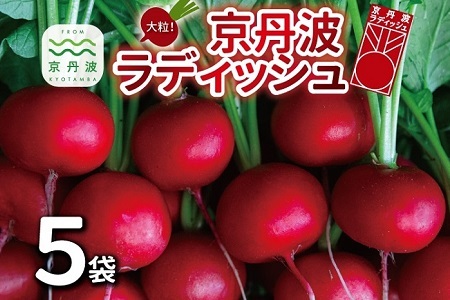 京丹波ラディッシュ 5袋セット 京都 丹波 大粒 ジューシー フルーティー ソテー グリル料理 バーベキュー アヒージョ かき揚げ サラダ スープ ※北海道・沖縄・その他離島への配送不可 [008NM001]