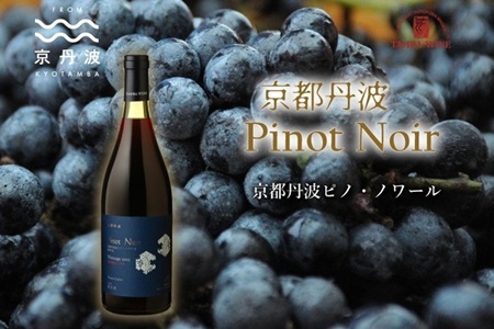 丹波ワイン 京都丹波 ピノノワール [ 国産ぶどう使用 赤ワイン 国産ワイン ワイン ] [022SJ001]